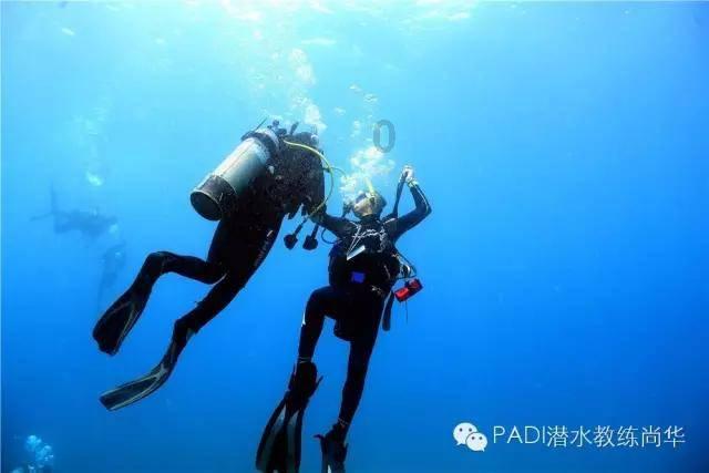 逗小猴开心系列192